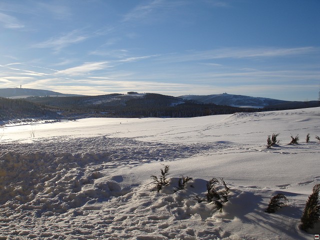 img00004.jpg